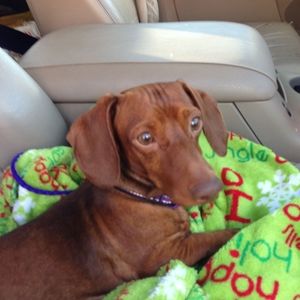 Meet your Posher, Christine